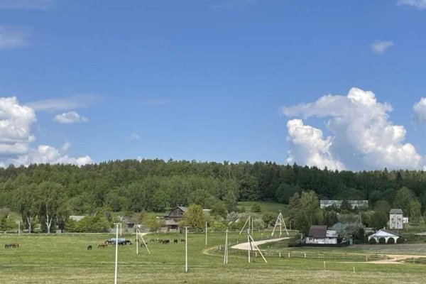 Продается коттедж д. Ляховщина, Центральная ул., д. 46 к. А - фото 9
