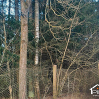 Фотография Продается дача с/т. Физик - фото 13