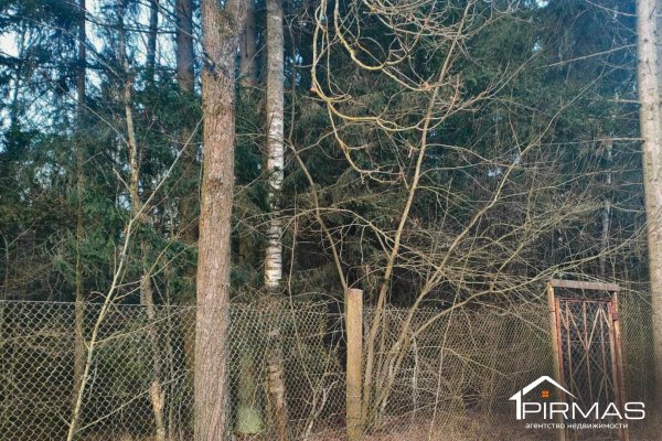 Продается дача с/т. Физик - фото 13