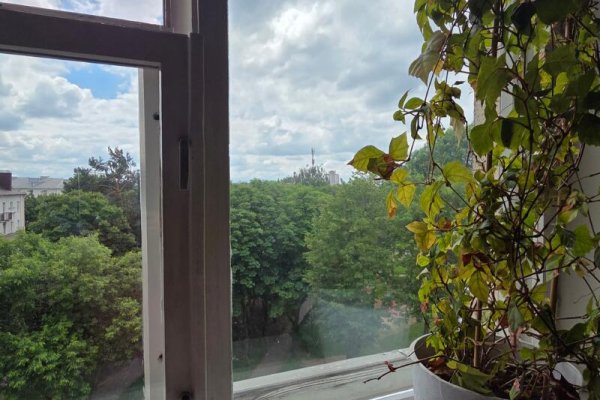2-комнатная квартира по адресу Кошевого ул., д. 1 - фото 18