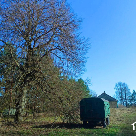 Фотография Продается торговое помещение по адресу д. Лапоровичи, Центральная ул.,  - фото 18