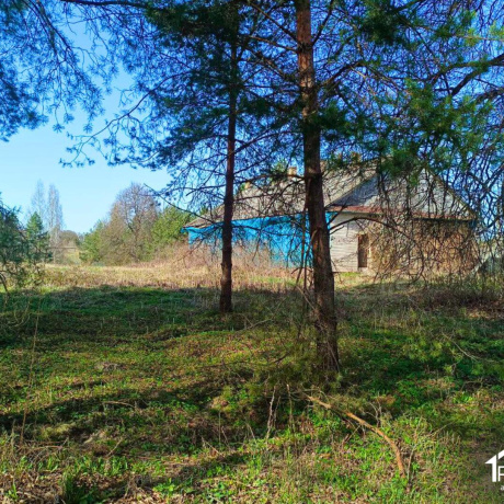 Фотография Продается торговое помещение по адресу д. Лапоровичи, Центральная ул.,  - фото 13