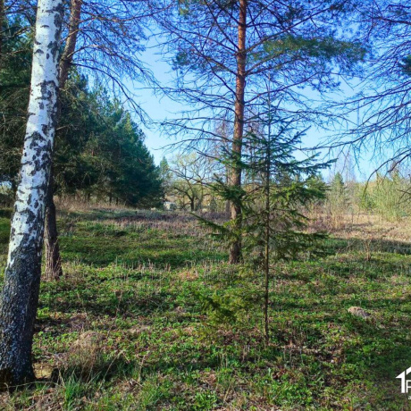 Фотография Продается торговое помещение по адресу д. Лапоровичи, Центральная ул.,  - фото 15