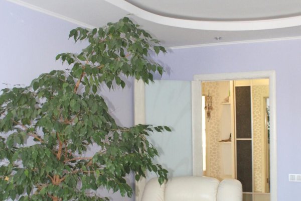 3-комнатная квартира по адресу Мирошниченко ул., д. 43 к. а - фото 8