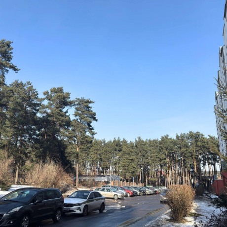 Фотография 2-комнатная квартира по адресу Высокая ул., д. 11 к. в - фото 16