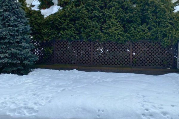 5+ -комнатная квартира по адресу Сосновая ул., д. 21 к. 2 - фото 18