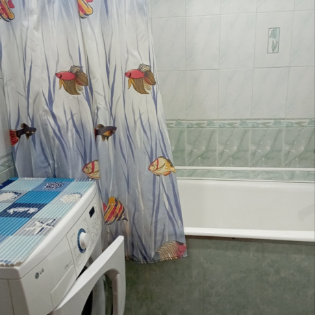 Фотография 1-комнатная квартира по адресу СКРИПНИКОВА, 36 - фото 6