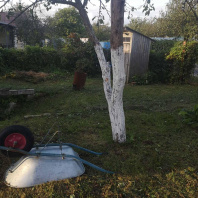 Фотография Продается дача г. Минск - фото 11