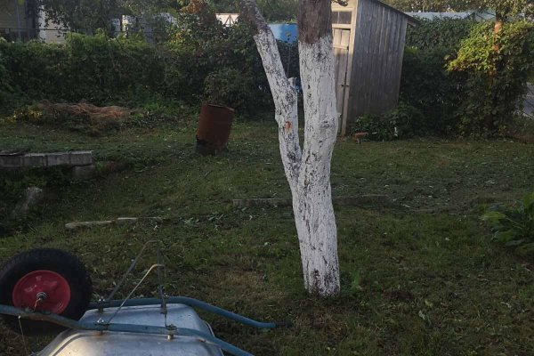 Продается дача г. Минск - фото 11