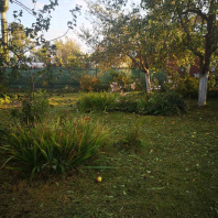 Фотография Продается дача г. Минск - фото 13