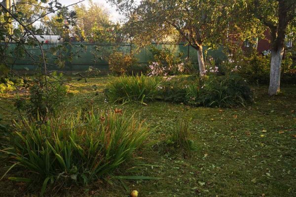 Продается дача г. Минск - фото 13