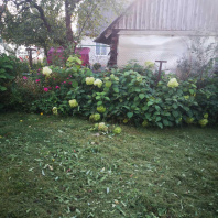 Фотография Продается дача г. Минск - фото 15