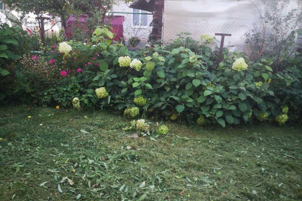 Продается дача г. Минск - фото 15