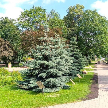 Фотография Сдается офисное помещение по адресу г. Минск, Мулявина бульвар, д. 6 - фото 14