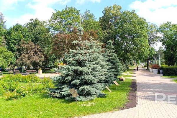 Сдается офисное помещение по адресу г. Минск, Мулявина бульвар, д. 6 - фото 14