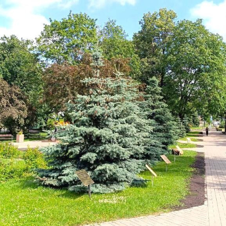 Фотография Сдается офисное помещение по адресу г. Минск, Мулявина бульвар, д. 6 - фото 12