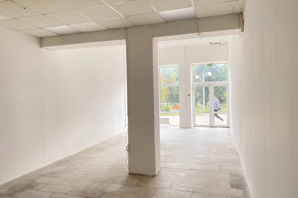 Аренда торгового помещения рядом с метро Пушкинская - фото 6