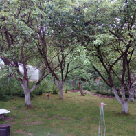 Фотография Продается дача в 13 км от МКАД - фото 5