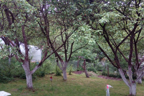 Продается дача в 13 км от МКАД - фото 5