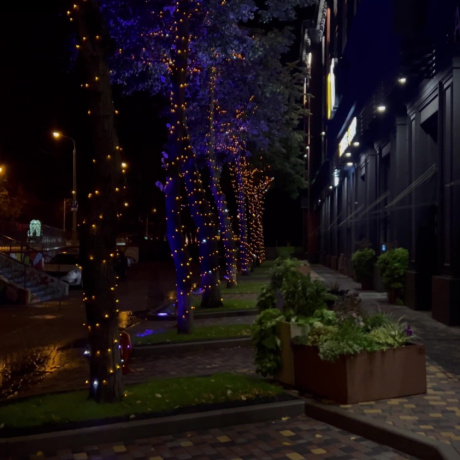 Фотография Торговое помещение с отдельным входом - фото 8