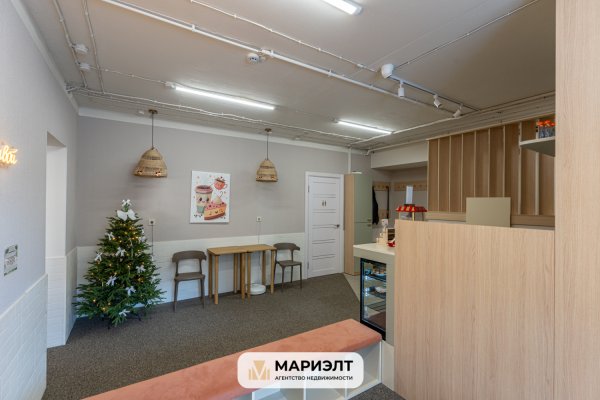 Помещение 75,4 м2(аренда) ул Скрыганова 4А - фото 12