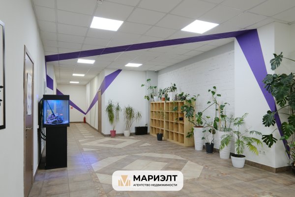 Аренда офиса 40,8/98,5 м2 ул Притыцкого 62 - фото 6