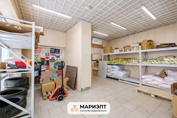 Продажа помещения 244,1 м2 ул Тимирязева 121/3 - фото 5