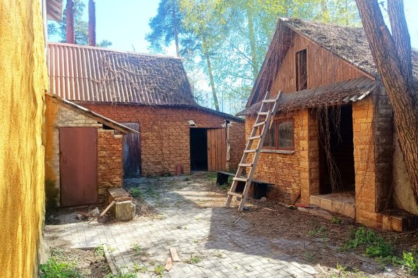 Продажа помещения 500 м2 гп Мачулищи ул Молодежная 39А - фото 7
