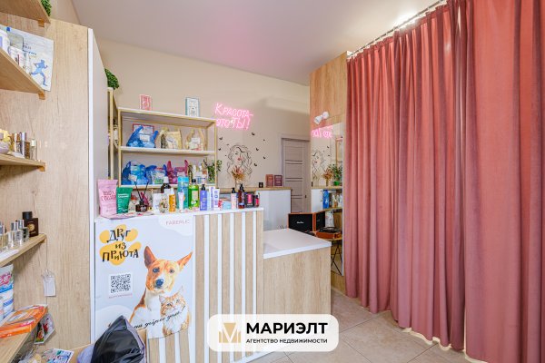 Продажа помещения 27,8  м2  ул Братская 13 - фото 8