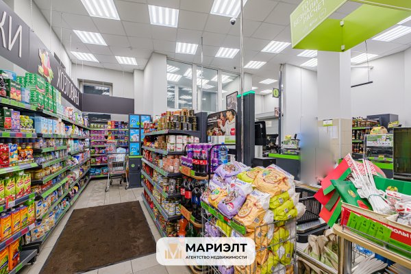 Помещение 231,3  м2 (продажа) ул Свердлова 22 - фото 6