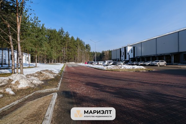 Продажа базы отдыха 4533,1 м2 Боровлянский с/с 308 - фото 2