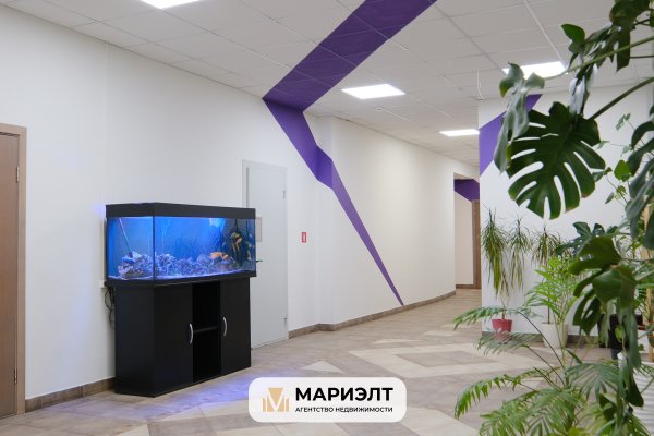 Аренда офиса 75/560 м2  ул Притыцкого 62 - фото 8