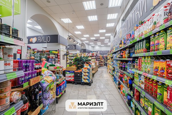 Помещение 231,3  м2 (продажа) ул Свердлова 22 - фото 4