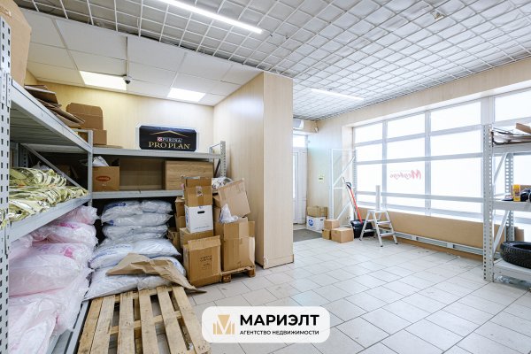 Продажа помещения 244,1 м2 ул Тимирязева 121/3 - фото 4
