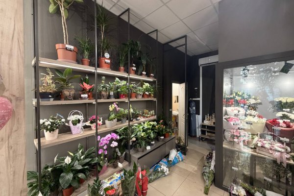 Сдается в аренду торговое помещение 33 кв.м. - фото 6