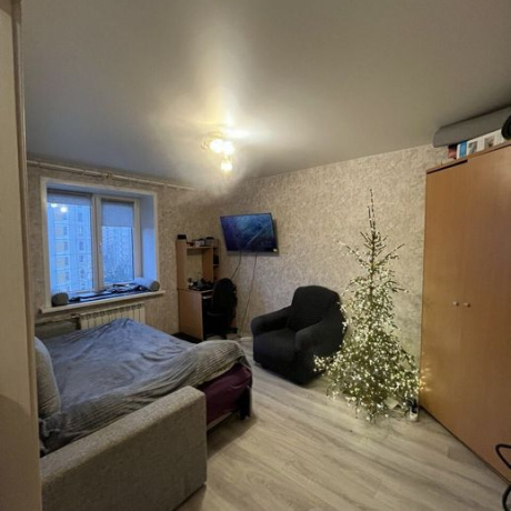 Фотография 1-комнатная квартира по адресу ЛЕВКОВА, 3 - фото 1