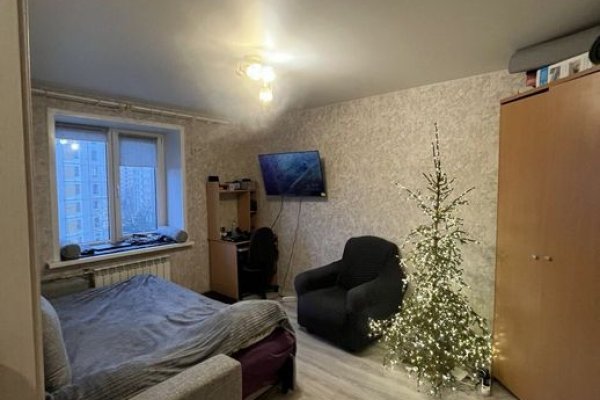 1-комнатная квартира по адресу ЛЕВКОВА, 3 - фото 1