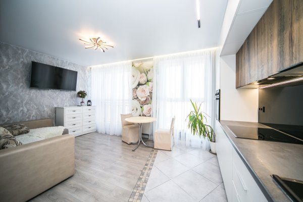 3-комнатная квартира по адресу Лейтенанта Кижеватова, 3А - фото 8