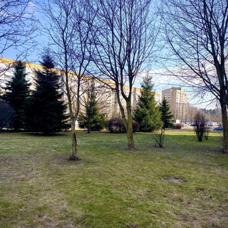 Фотография 1-комнатная квартира по адресу Лобанка, 60 - фото 20