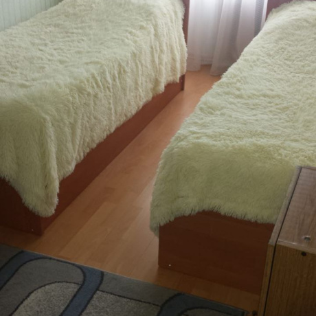 Фотография 2-комнатная квартира по адресу ПРИТЫЦКОГО, 46 - фото 2