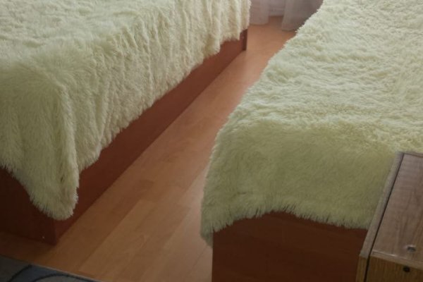 2-комнатная квартира по адресу ПРИТЫЦКОГО, 46 - фото 2