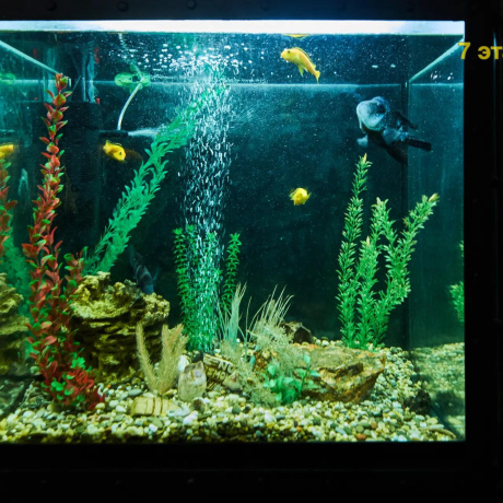 Фотография Продается торговое помещение по адресу Минск, Могилевская ул., 12/а - фото 11