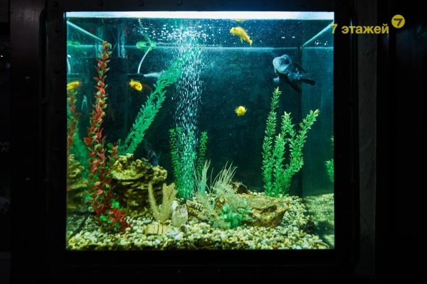 Продается торговое помещение по адресу Минск, Могилевская ул., 12/а - фото 11