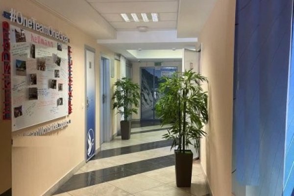 Аренда современного офисного блока 412,3 кв.м, м.Пушкинская - фото 3