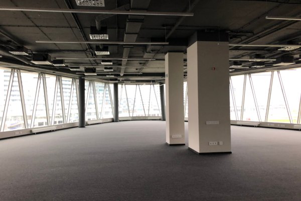 Аренда офиса 800 кв.м в бизнес-центре Ривьера Плаза - фото 5