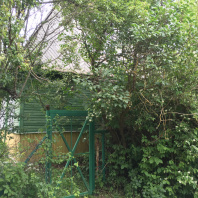 Фотография Продается дача, с/т Взгорье-1 (Минский р-н, Молодечненское напр.18 км от МКАД). - фото 3