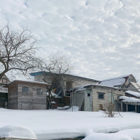 Фотография Продаётся дача в СТ Заценьский родник всего 1,5 км от Минска - фото 5