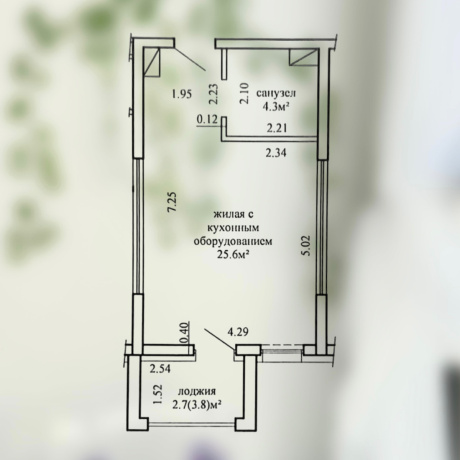 Фотография Студия квартира по адресу Савицкого, 39 - фото 17