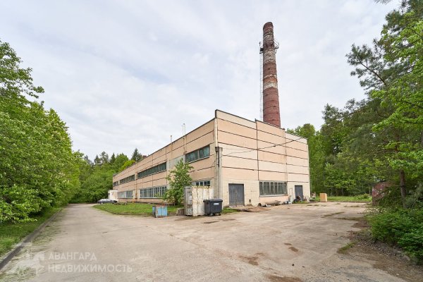 Продажа комплекса зданий с земельным участком 4 гектара - фото 16