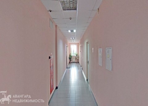 Офисное помещение 103,5 м2, ул. Богдановича, 120Б - фото 6